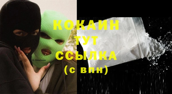 сатива Верея