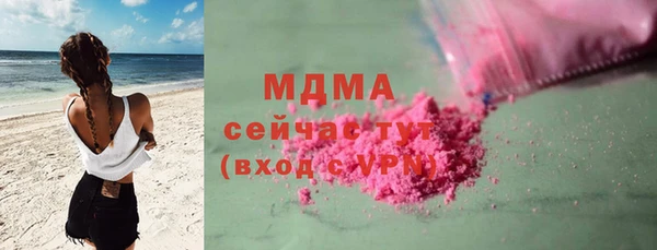 сатива Верея