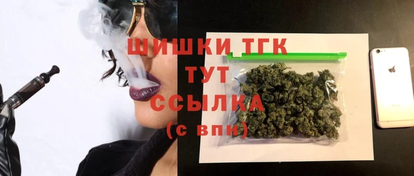 сатива Верея