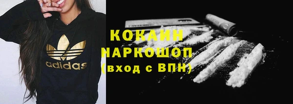 сатива Верея
