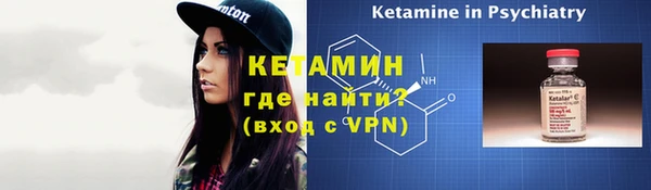 сатива Верея