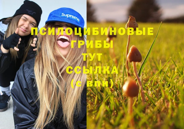 дурь Верхнеуральск