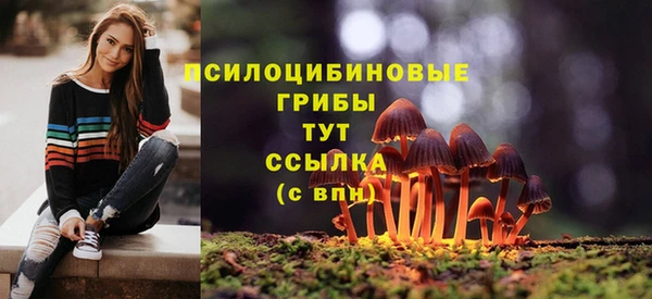 сатива Верея