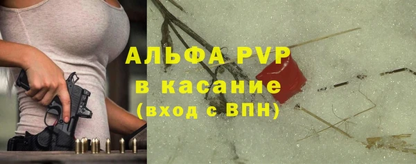 сатива Верея